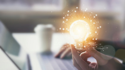 松树类盆景如何提高成活率？