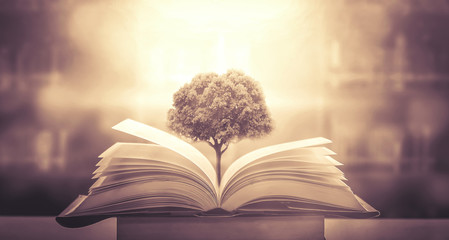 校园电信宽带配置无线路由器的方法