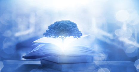 全球前十跑车排行榜？