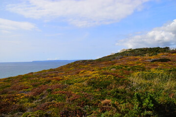 总高17层房子几楼最好