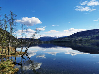 情人节活动策划方案精选
