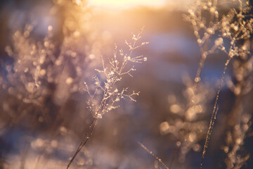 省呗审核容易通过吗？