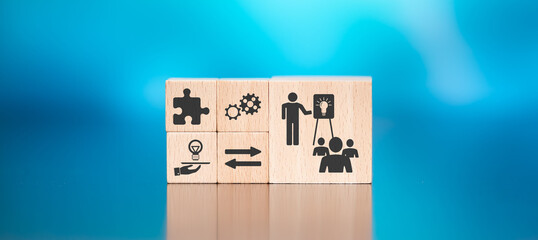 上海看白玉兰的地方推荐