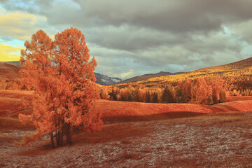 浅谈黑龙江省公路工程监理？
