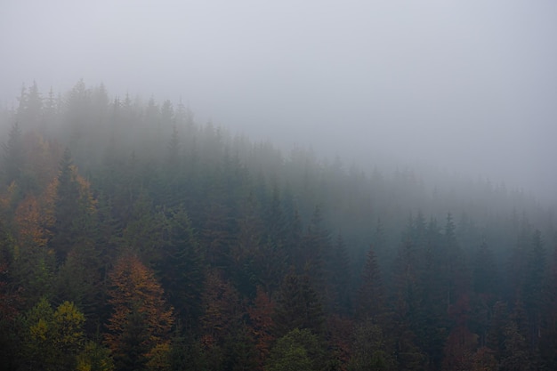 永年到郭亮村怎么走
