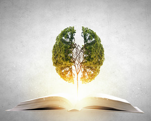 本溪碱厂至抚顺关山湖多少公里