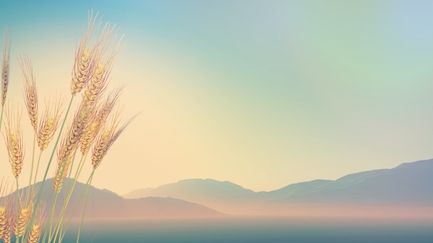 卡罗拉双擎清洗节气门多少钱