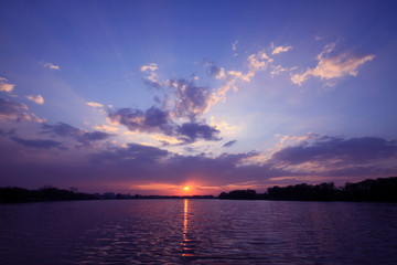 肉牛品种如何选好