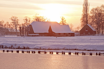 大专生活是什么样的